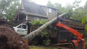 canton oh emergency tree removal