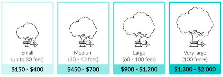 tree removal cost canton ohio